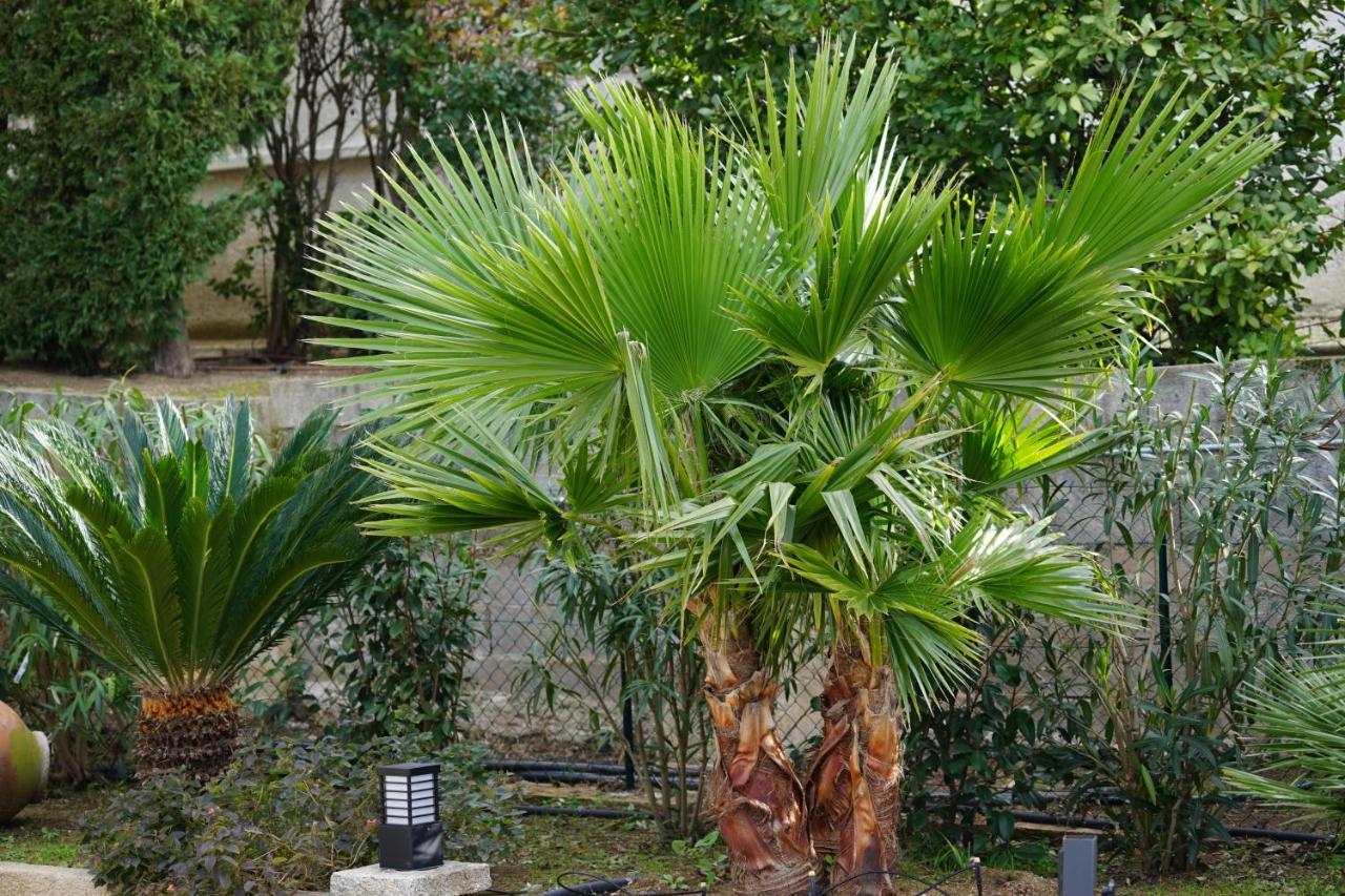 Villa Les Cades Sainte-Maxime Exteriör bild