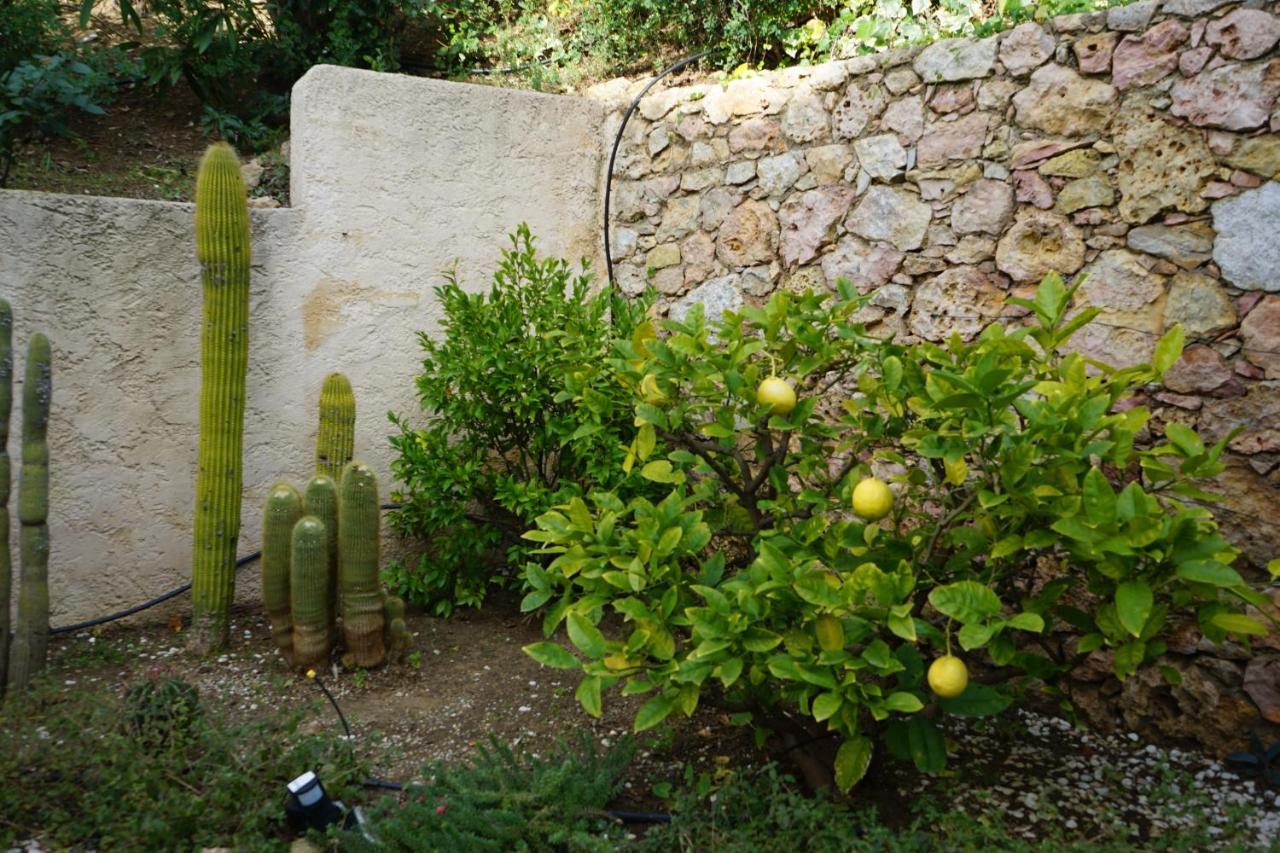 Villa Les Cades Sainte-Maxime Exteriör bild
